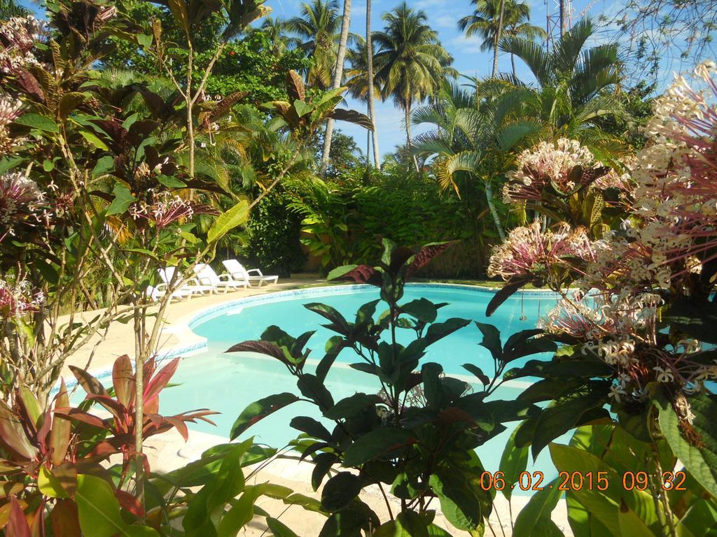 Apartamento Caoba Las Terrenas Habitación foto