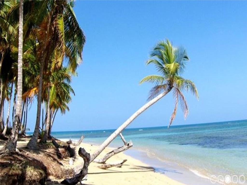 Apartamento Caoba Las Terrenas Exterior foto